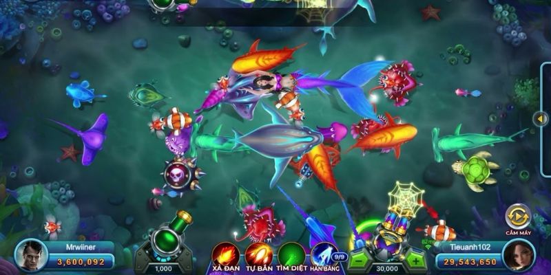 Một số rủi ro bạn cần biết